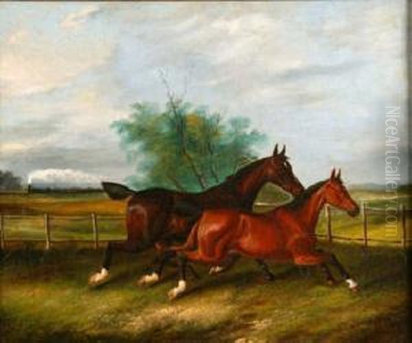 Two Horses Gallopingin A Meadow With Steam Train In Distance Oil Painting by James Senior Clark