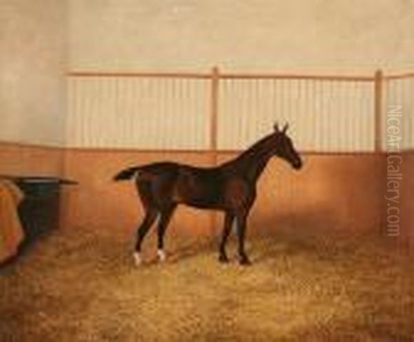 Horse In A Stable Oil Painting by James Senior Clark