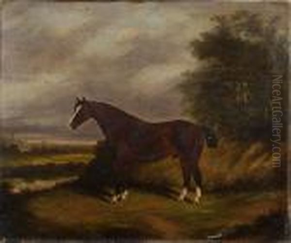 A Bay Horse In A Landscape Oil Painting by James Senior Clark