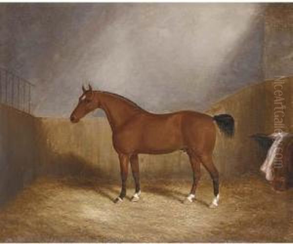 A Chestnut Hunter In A Stable Oil Painting by James Senior Clark