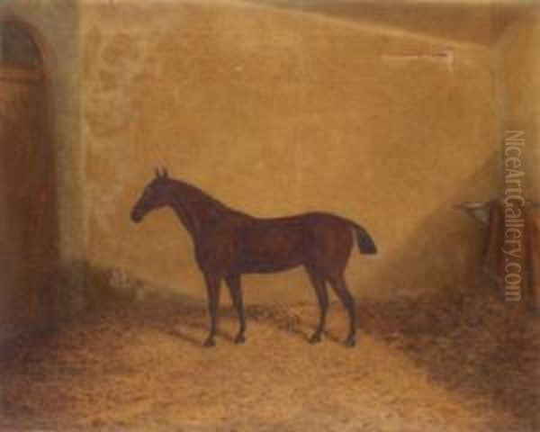 Bay Hunter In A Stable Oil Painting by James Senior Clark