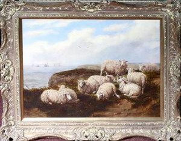 Sheep On Marsden Cliffs Oil Painting by Joseph Dixon Clark