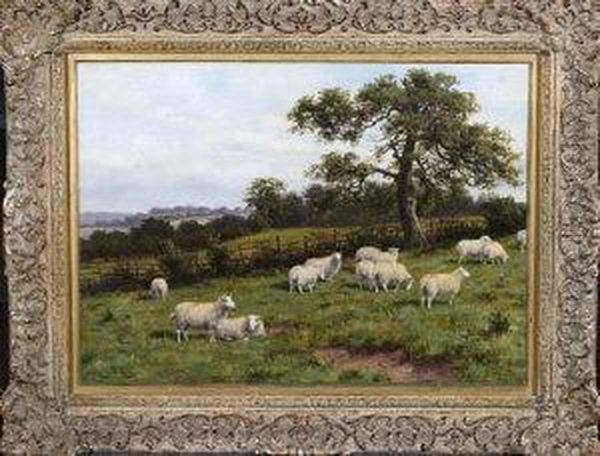 Sheep In A Meadow Oil Painting by Joseph Dixon Clark