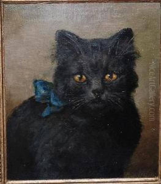 Portait Of A Cat With A Blue Ribbon Oil Painting by Joseph Dixon Clark