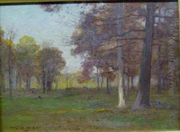 Trees In Autumn Oil Painting by Walter Clark