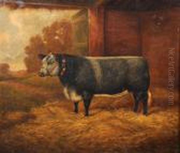 British 
Lily, A Champion Heifer In A Barn Oil Painting by William Albert Clark