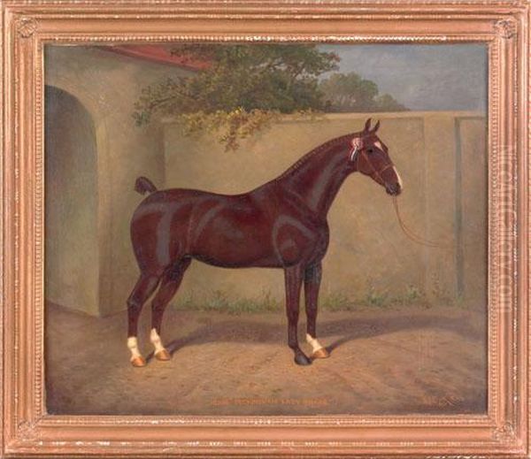 Horse Portrait Oil Painting by William Albert Clark