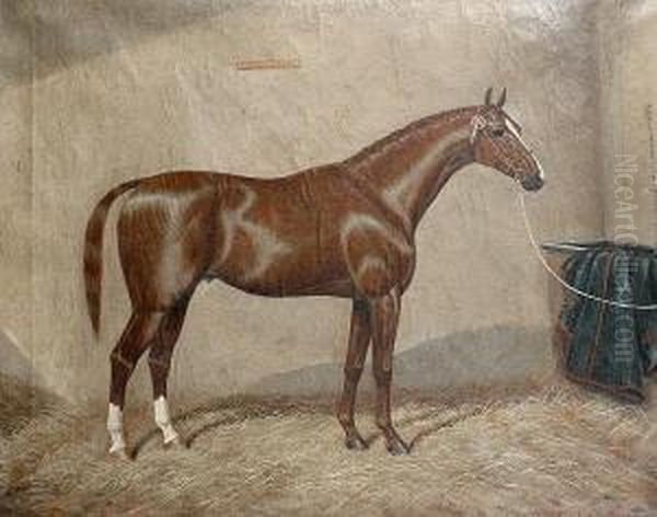 Drummond's Pride - A Horse In A Stable Oil Painting by William Albert Clark