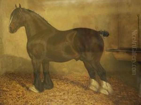 Shire Horse In A Stable Oil Painting by William Albert Clark