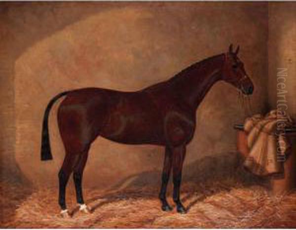 Bay Horse In Stable Oil Painting by William Albert Clark