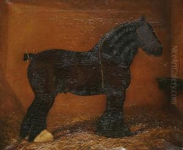 Portrait Of A Shire Horse In A Stable, Believed To Be Champion's Coalkeeper Oil Painting by William Albert Clark