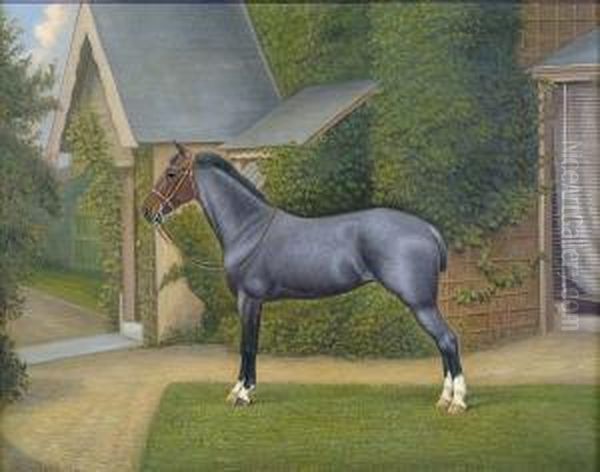 Grey Hunter, Standing Four Square With Bridle Before A House Oil Painting by William Albert Clark