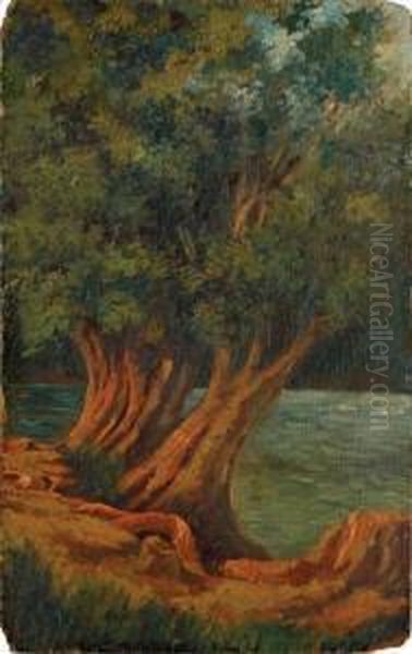 Rincon Del Lago De Chapultepec Oil Painting by Joaquin Clausell