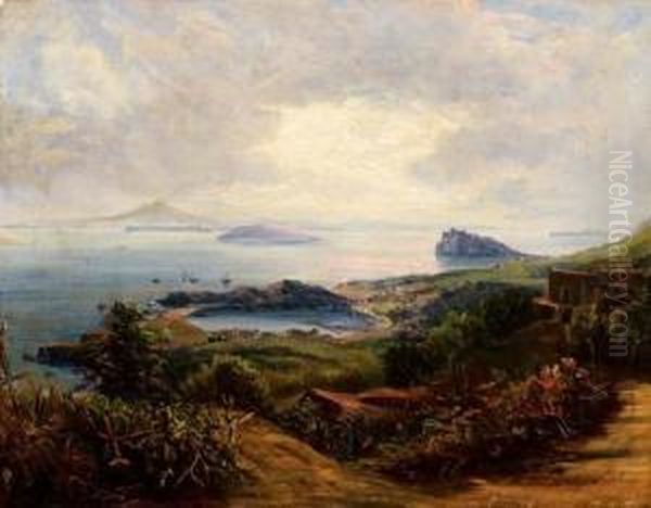 Il Vesuvio Da Ischia Oil Painting by Johan Christian Clausen Dahl