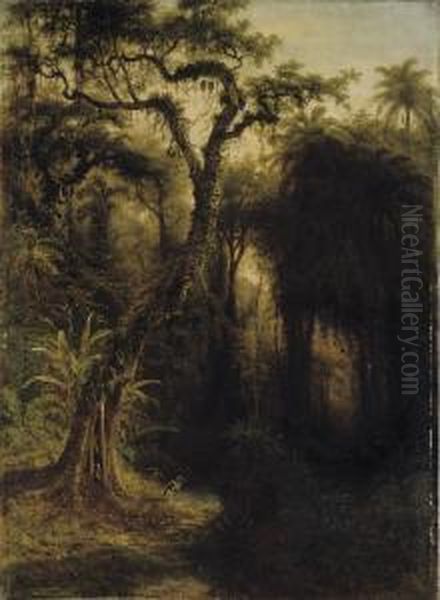 Rainforest Above Santiago De Cuba Oil Painting by Henry Cleenewerck