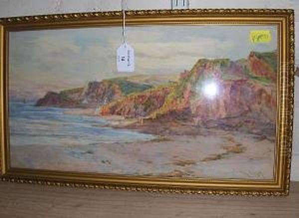 Coastal View With Cliffs Oil Painting by Tom Clough