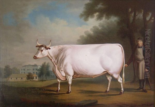 The White Ox Oil Painting by Daniel Clowes