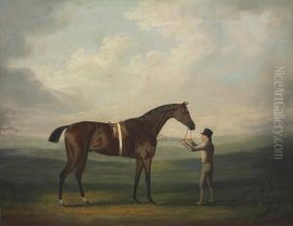 A Groom With A Dark Bay Hunter Oil Painting by Daniel Clowes