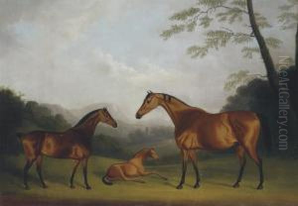 Mares And A Foal In A Landscape Oil Painting by Daniel Clowes