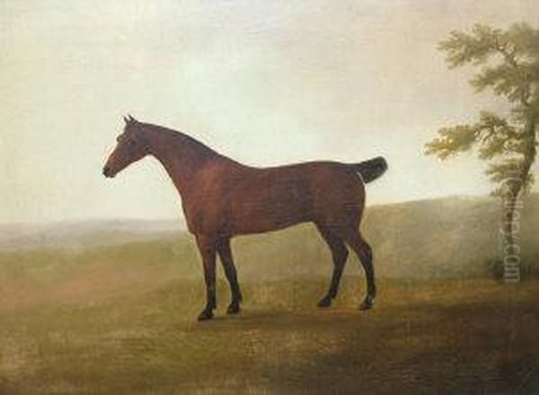 Portrait Of A Chestnut Bay Hunter In A Landscape Oil Painting by Daniel Clowes