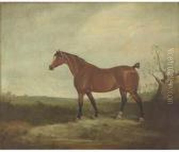 A Horse In A Landscape Oil Painting by Daniel Clowes