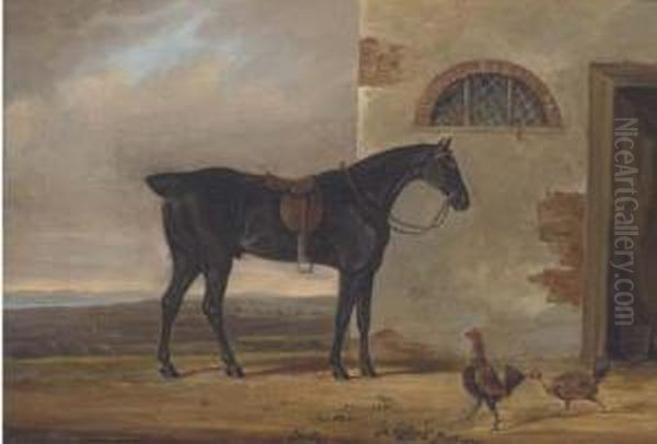 A Saddled Hunter Before A Stable Oil Painting by Daniel Clowes