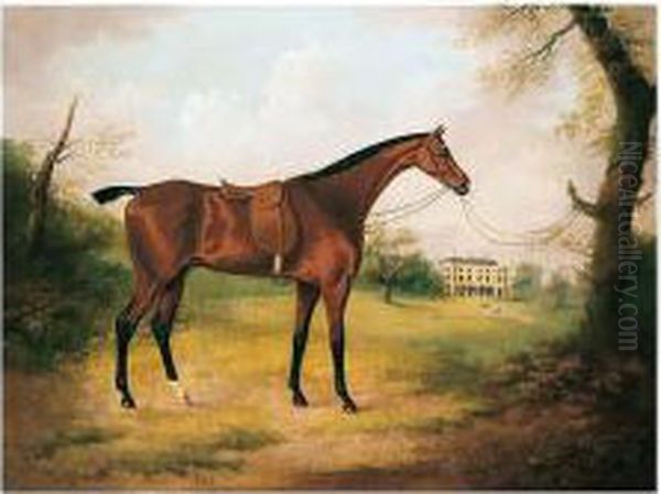 A Saddled Bay Hunter In The Grounds Of Bryn-y-pys, Flintshire Oil Painting by Daniel Clowes