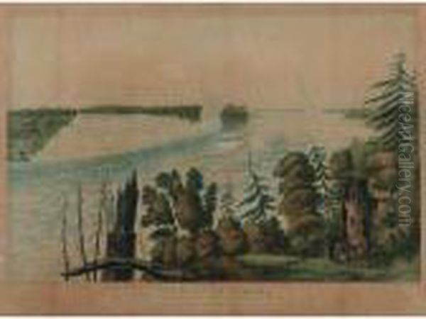 The Falls Of Niagara. This 
General View Above The English Ferry; And The Falls Of Niagara. This 
View Of The American Fall, From Goat Island (lane 300 And 303) Oil Painting by James Pattison Cockburn