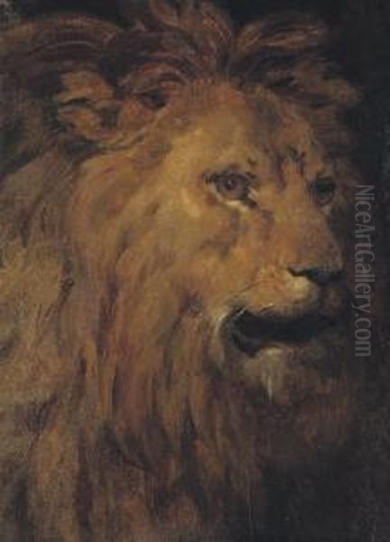 Head Of A Lion In Three-quarter Profile To The Right Oil Painting by Leon Cogniet