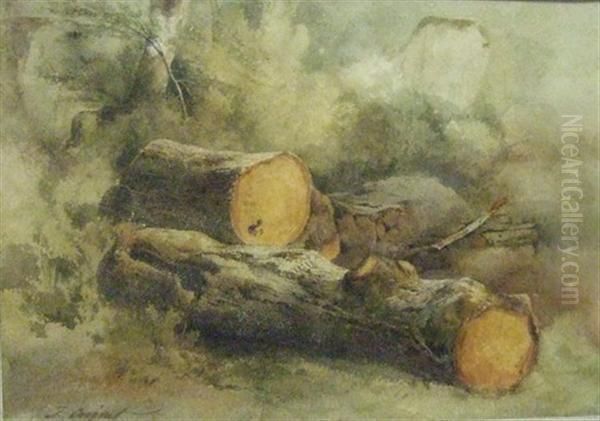 Troncs D'arbres Oil Painting by Jules Louis Phillipe Coignet