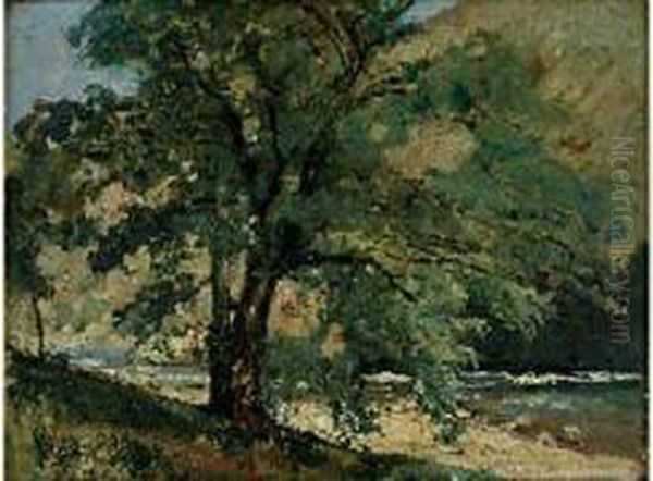 Riviere Et Arbre Oil Painting by Gustave Colin