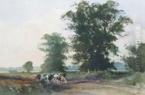 Crockett : Cattle On A Path Near Barford, Signed With Monogram, Watercolour, 28 X 42cm Oil Painting by Samuel David Colkett