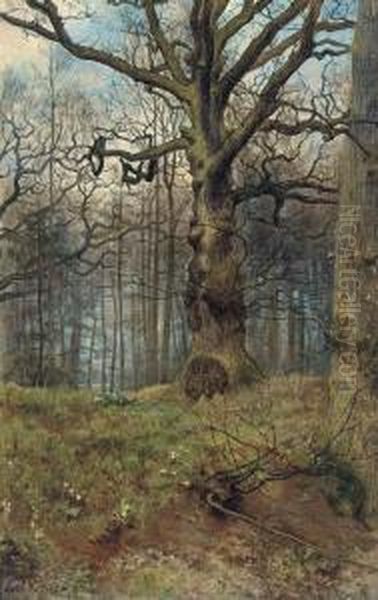 The Spring Wood Oil Painting by John Maler Collier