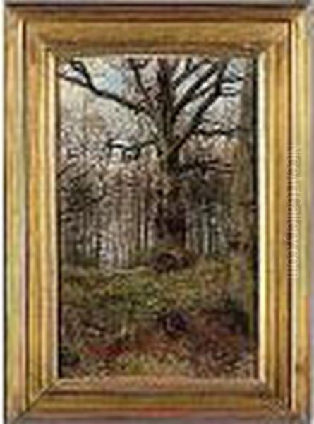 The Hon. , -, Woodland Scene, 
Signed L.l.: John Collier, Oil On Canvas Board, 60 By 37 Cm.; 23i By 
13iin Oil Painting by John Maler Collier