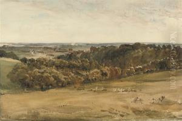 Arundel Castle From The Downs, West Sussex Oil Painting by Thomas Collier