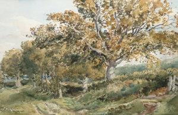 Near Haslemere Oil Painting by Thomas Collier