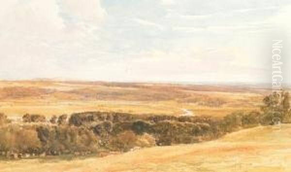 The Vale Of Arun Oil Painting by Thomas Collier