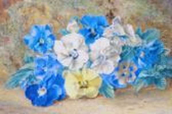 Still Life Of Pansies Oil Painting by Thomas Collier