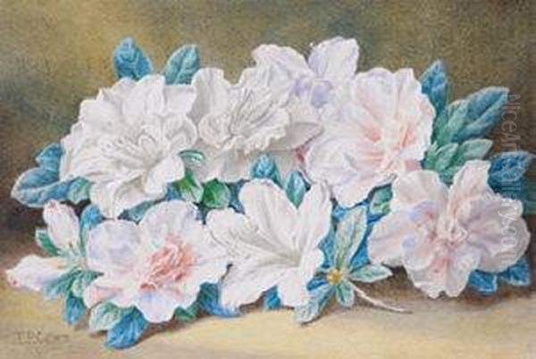 Still Life Of Azaleas Oil Painting by Thomas Collier