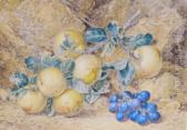 Still Life Of Apples And Grapes Oil Painting by Thomas Collier