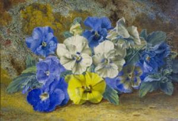 Pansies by Thomas Collier