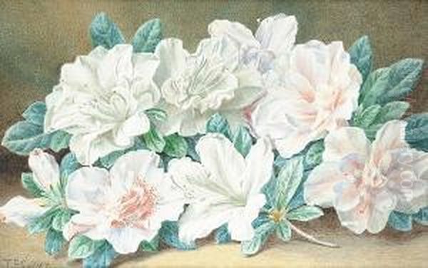 Still Life Of Flowers Oil Painting by Thomas Collier