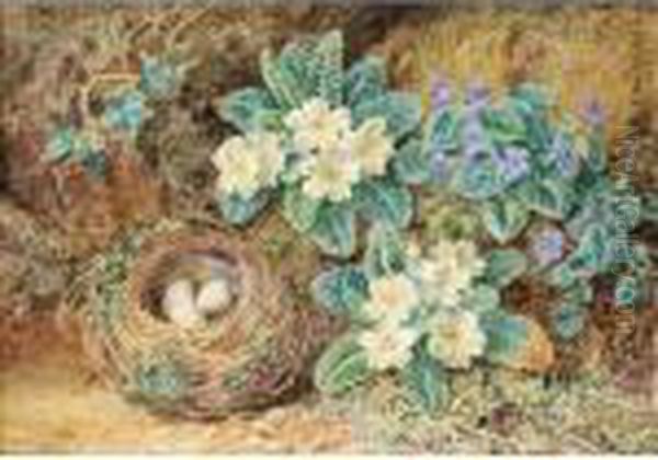 Still Life Of Bird's Nest With Primroses And Ivy Oil Painting by Thomas Collier