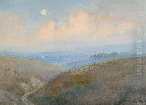 Sheep On A Hillside Oil Painting by William Collingwood Smith