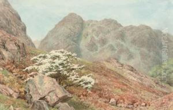 Raven Crag, Yewdale, Coniston ; And A Woodland Path Oil Painting by William Gersham Collingwood