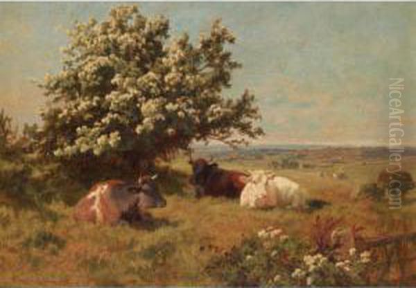 Cows In A Meadow Oil Painting by Charles Collins