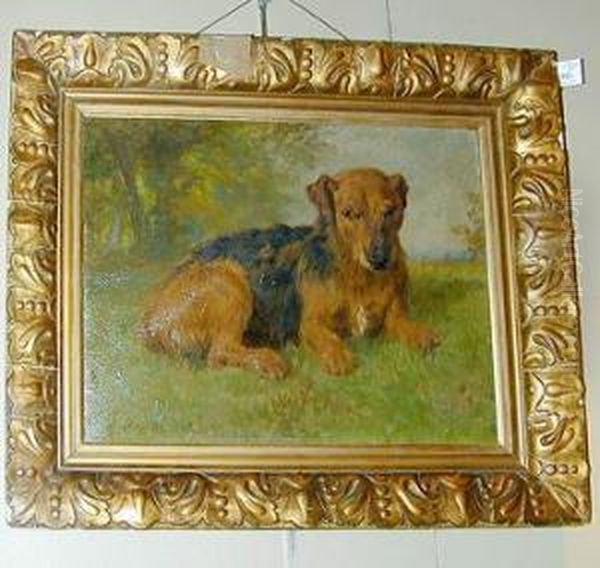 An Irishterrier Oil Painting by Charles Ii Collins