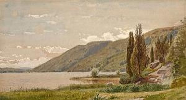 Hudson River Near Storm King Oil Painting by Samuel Colman