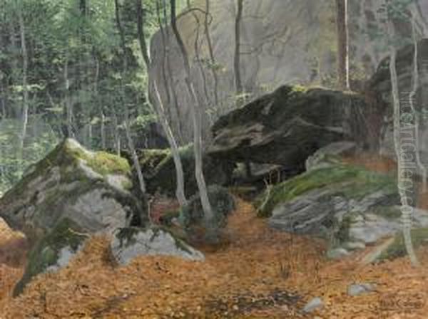 Sonnige Waldpartie Mit Felsen Oil Painting by Plinio Colombi