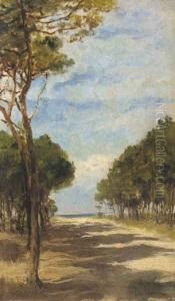 Pineta Oil Painting by Tito Conti